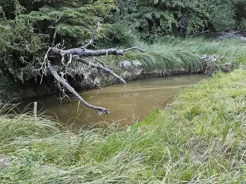 Terreno en Venta 34  mts Fondo