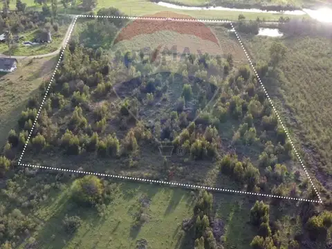 Venta de Campo 3 Ha. en Ruta 8 Km.45 Empalme Olmos
