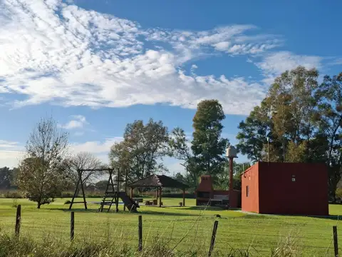 Lucio V. Mansilla & Estanislao Del Campo