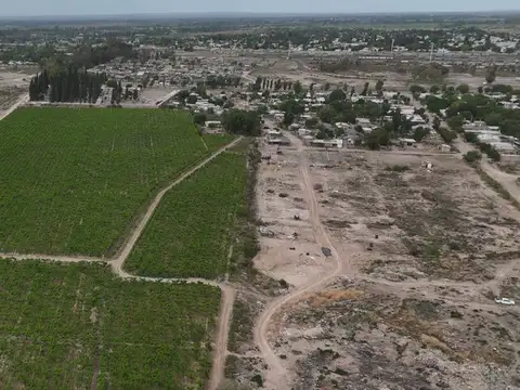 Terreno en Venta de 115000,0 m2