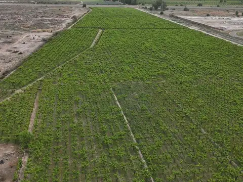 Ruta Nacional 7