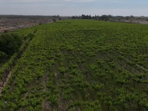 Terreno en Venta en Palmira, USD 250.000