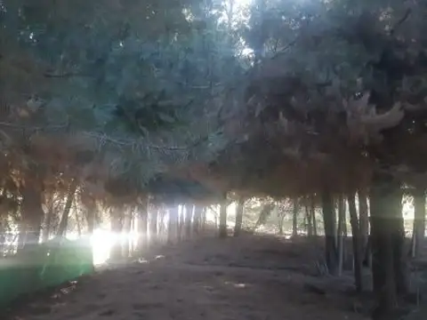 Terreno en Venta en Mallin Ahogado, USD 35.000