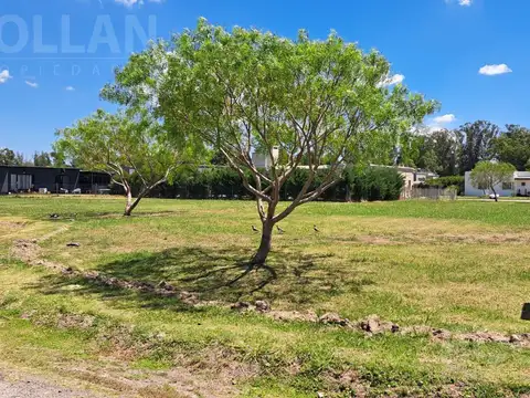 Lote interno central excelente ubicación 700m2