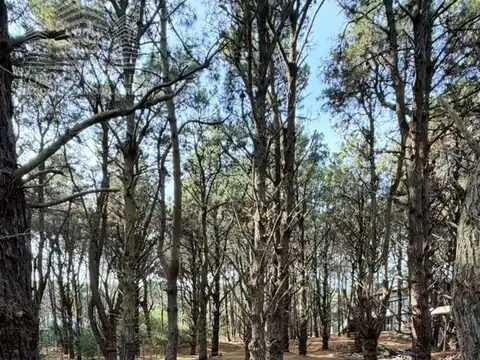 Lote en Costa del este ubicación ideal  Zona mas  buscada