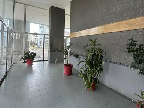 BELISARIO HUEYO al 100