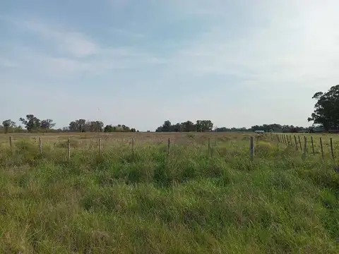 Circunvalacion 13 y circunvalacion 6