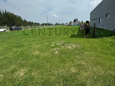 Terreno en Venta de 600,0 m2
