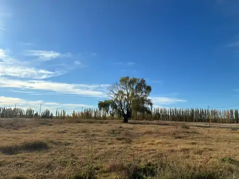 Terreno en Venta de 250,0 m2