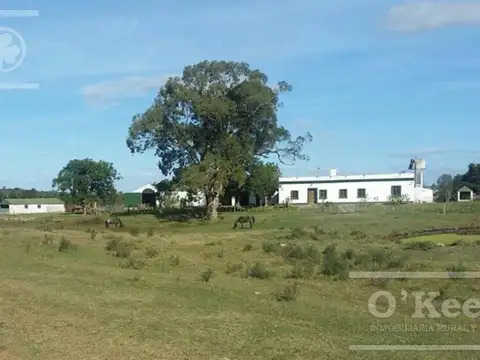 Campo en venta de 1675 has Cerro Largo, Uruguay