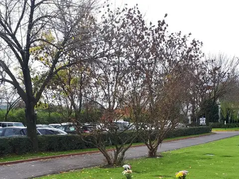 Parcelas Parque Memorial