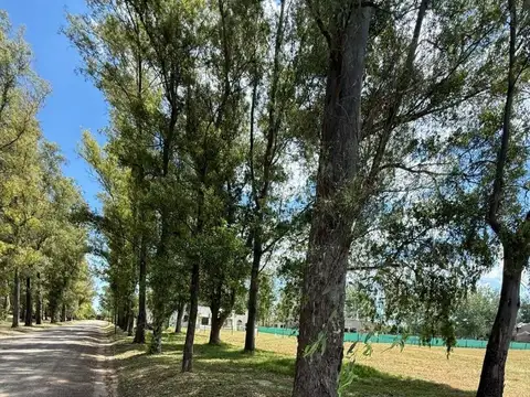 VENDIDO EL TROPEZON   -- Lote 6 F4 - 1032 m2  - VENDIDO  