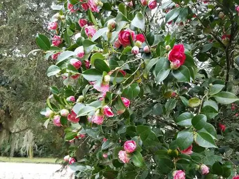 Casa en Venta en Roldan, USD 165.000