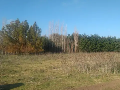 ARECO - ZONA DE QUINTAS - CERCA DEL CAMPO - 2730 M 2 
