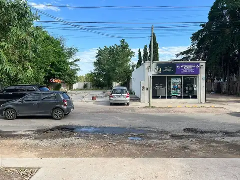 Alquiler terreno comercial en Tortugas Norte.