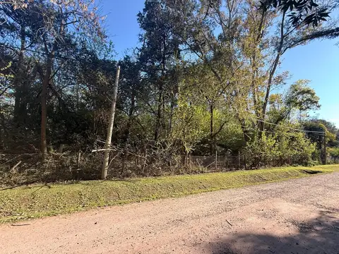 Terreno Lote  en Venta en El Remanso, Exaltación de la Cruz, G.B.A. Zona Norte