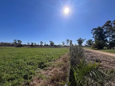 Terreno en Venta 125  mts Fondo