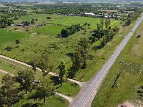 LOTES SOBRE RUTA 135