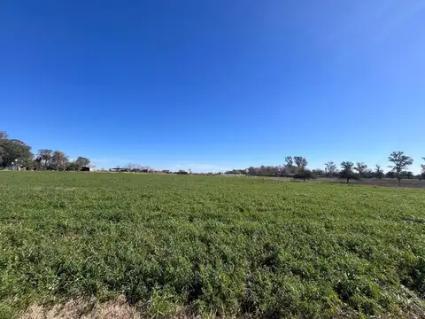 Terreno en Venta 57  mts Frente