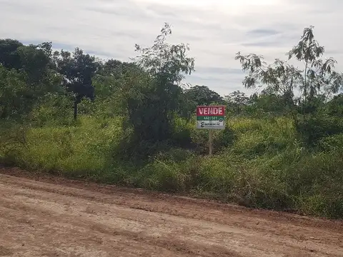 CALLE 137 1000