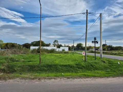 453 y 26