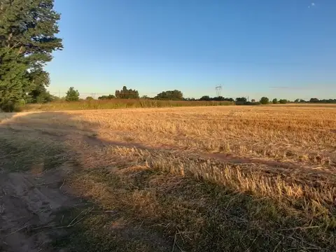 CAMPO 9 HA. EN RAMALLO