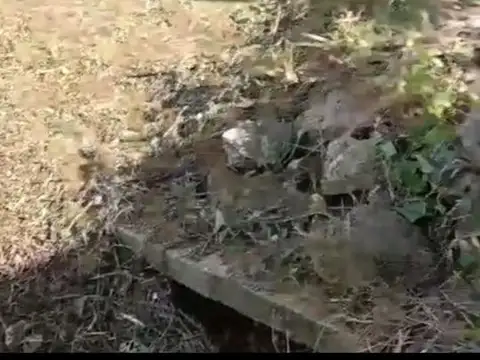 Terreno en Venta 20  mts Fondo