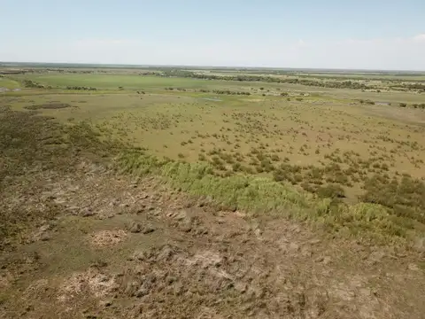 CAMPO MIXTO EN ENTRE RIOS, 2000 Has