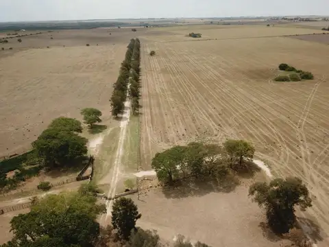 Campo en Venta de 2.000  ha
