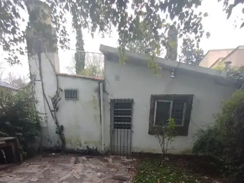 Virgen Del Rosario 100