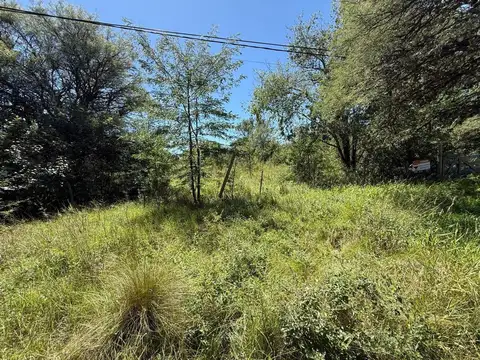 Ruta Provincial 5 100