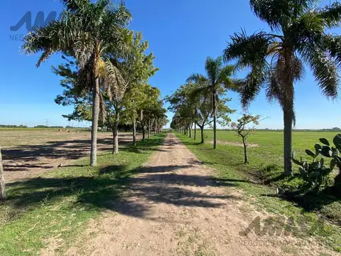 Terreno - General Lagos