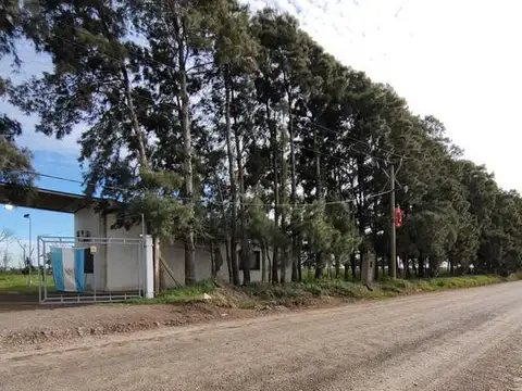 Campo en Puerto Gral San Martin