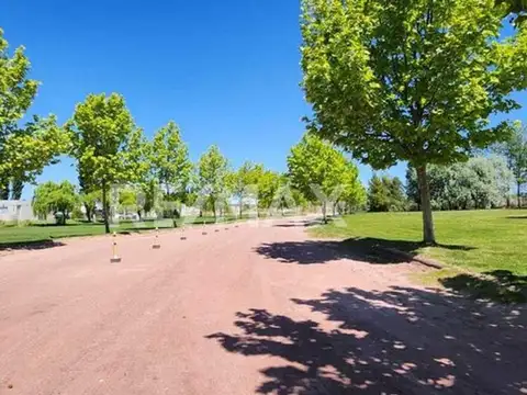 Terreno en Venta en Mari Menuco, USD 15.000