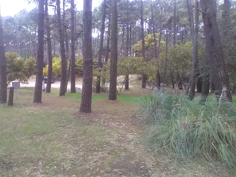 Las Acacias y Pueyrredon