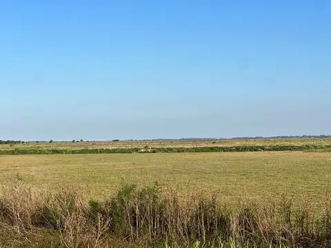 Avenida Río de la Plata entre 127 y 128