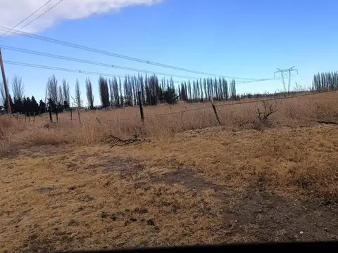 Ruta Provincial 100