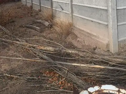 Venta Chacra 9 hectáreas sobre ruta en Picun Leufu Neuquén !