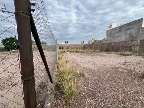 Barrio Viejo Tonel II 400