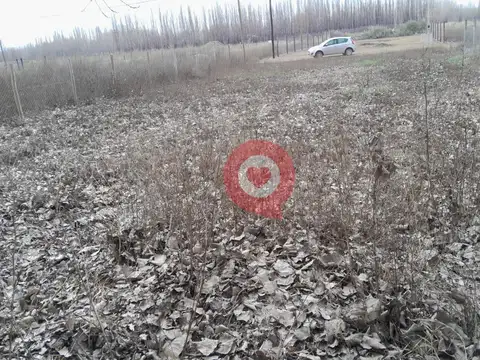 Terreno en China Muerta
