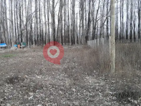 Terreno en China Muerta