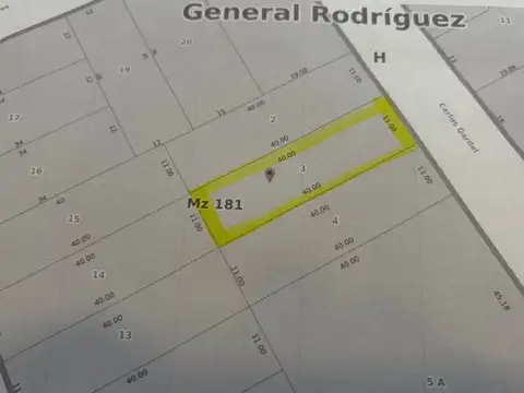 Carlos Gardel 100