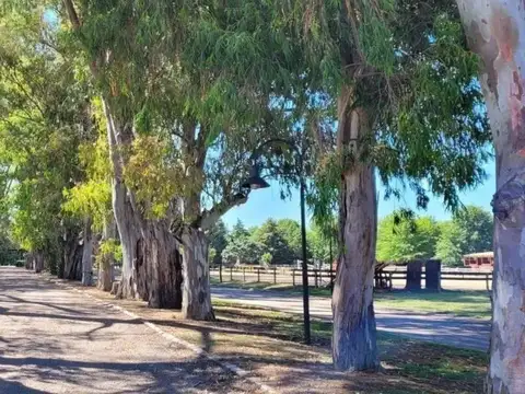 Terreno en Venta de 1000,0 m2