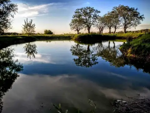 Terreno en Venta, 1000m2, en Fincas Exclusivas El Campo, Cardales, GBA Norte