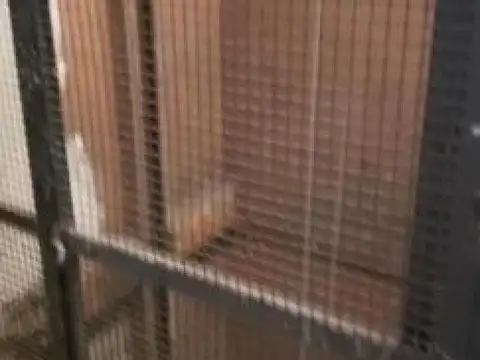 Depósito en venta - Oficinas - Baños - 662Mts2 - La Matanza