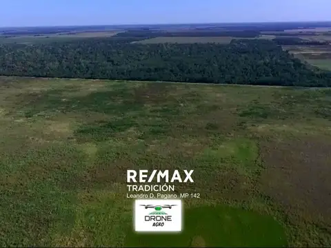 Campo en Venta – 77has Colonia José Mármol