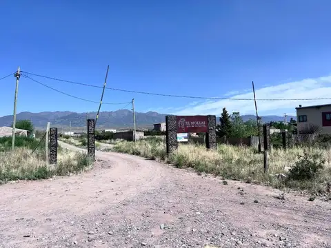 Terreno en Venta de 1000,0 m2