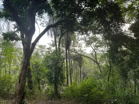 Terreno en Venta de 3399,0 m2