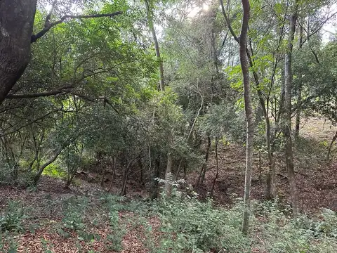 Lote - Venta - Paraguay, San Bernardino