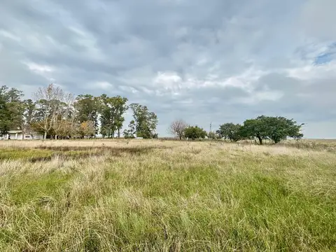 35 Has Agrícolas – Ganaderas en Magdalena BS AS